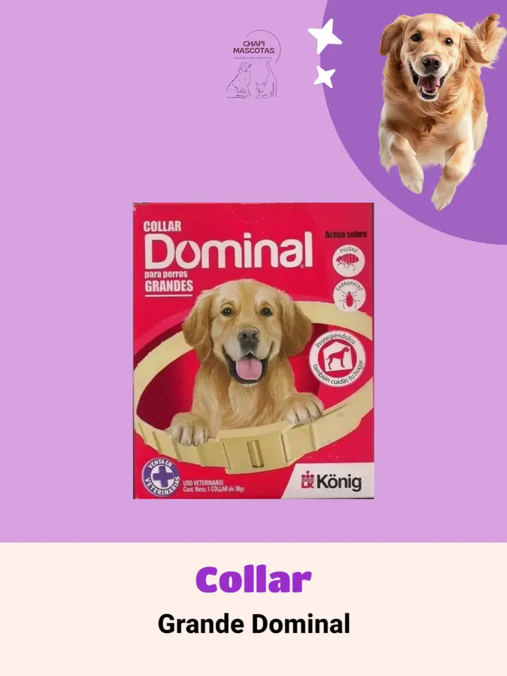 COLLAR GRANDE DOMINAL