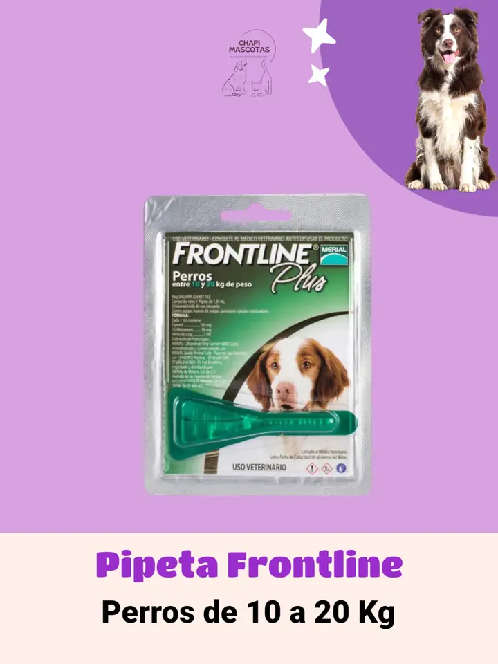 PIPETA 10 A 20 KG