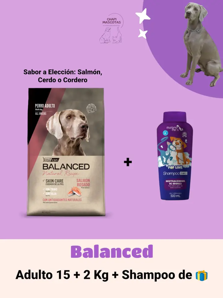 BALANCED 17 KG + SHAMPOO 🎁