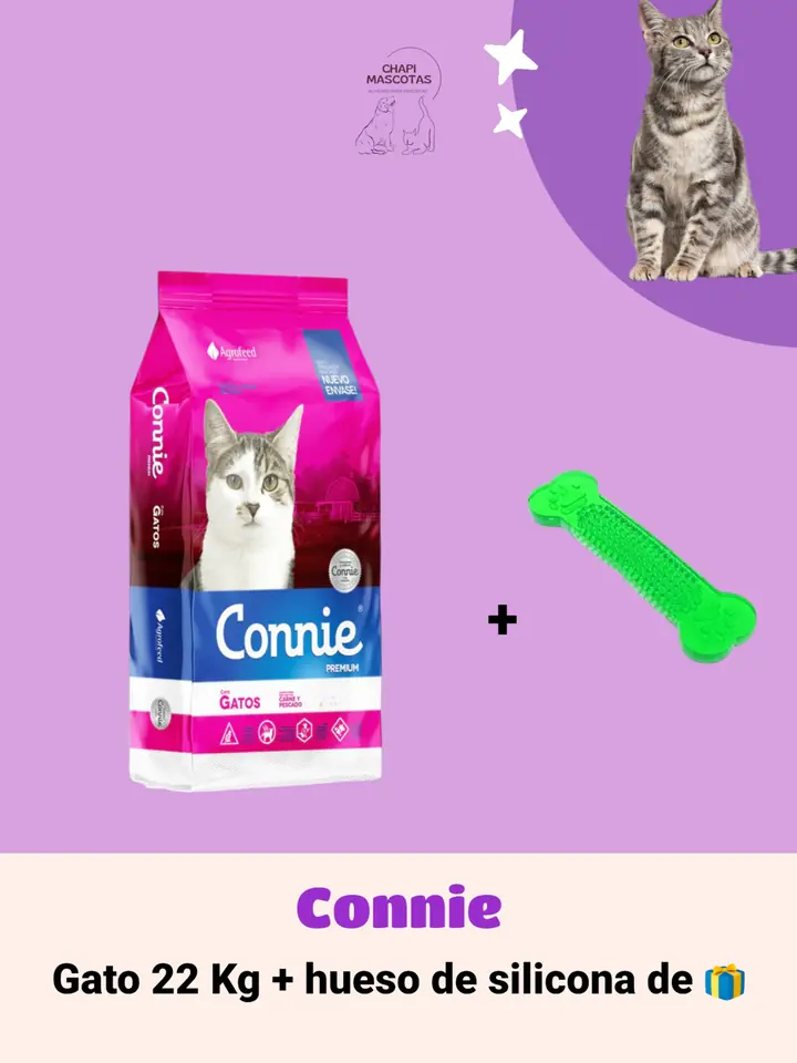CONNIE GATO 22 KG