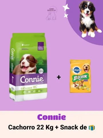 CONNIE CACHORRO 22 KG + SNACK DE 🎁