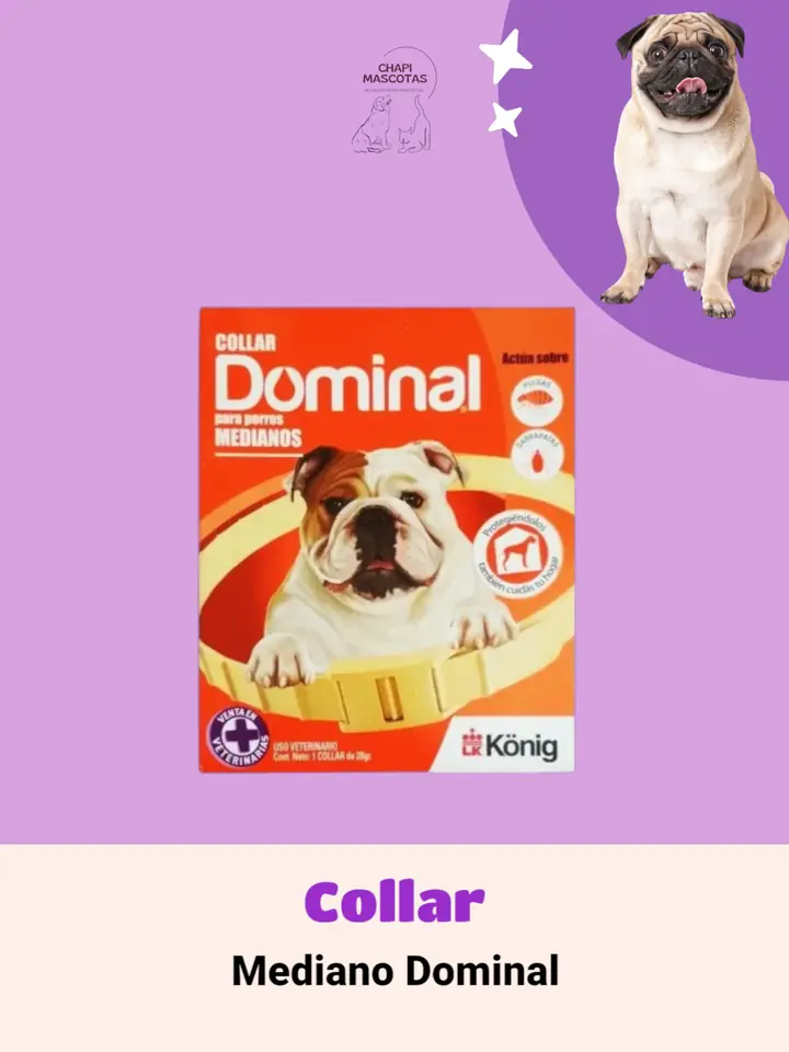 COLLAR MEDIANO DOMINAL