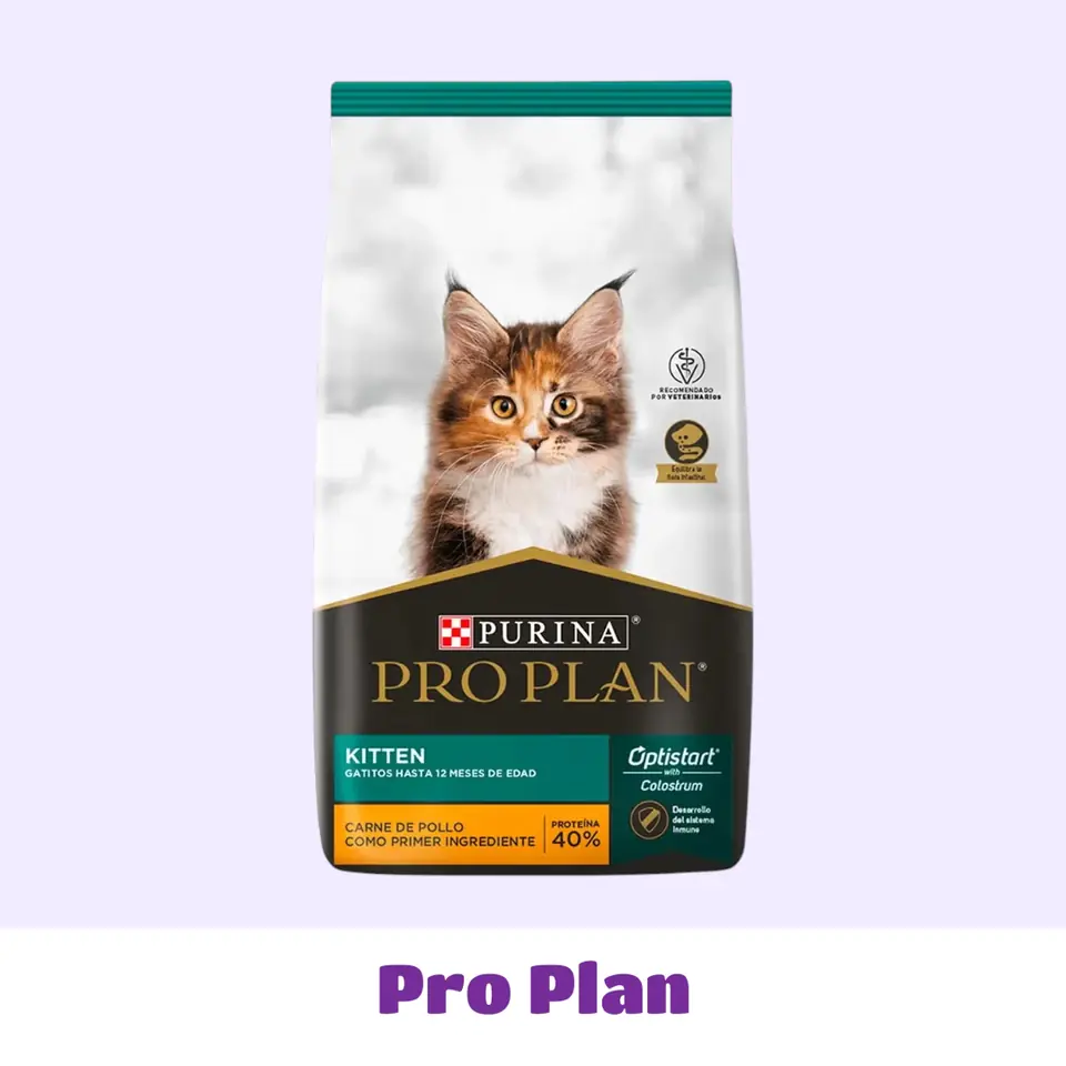 PRO PLAN GATITO 3 KG