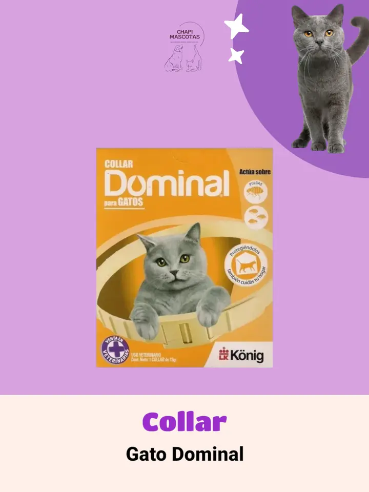 COLLAR GATO DOMINAL