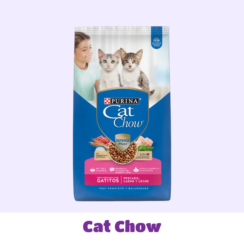 CAT CHOW GATITOS 8 KG