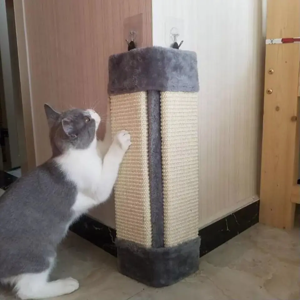 Rascador para amurar grande
