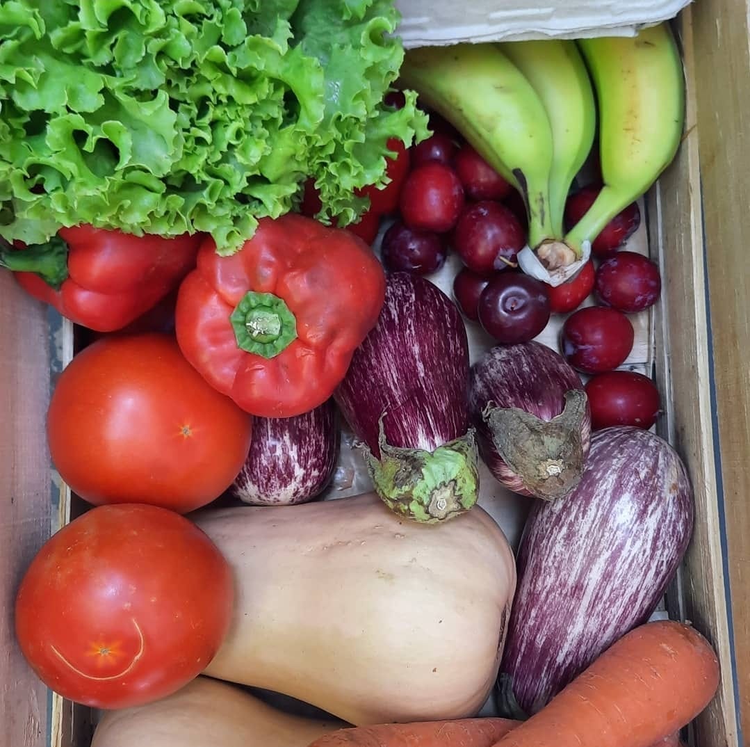 Organicos Delivery