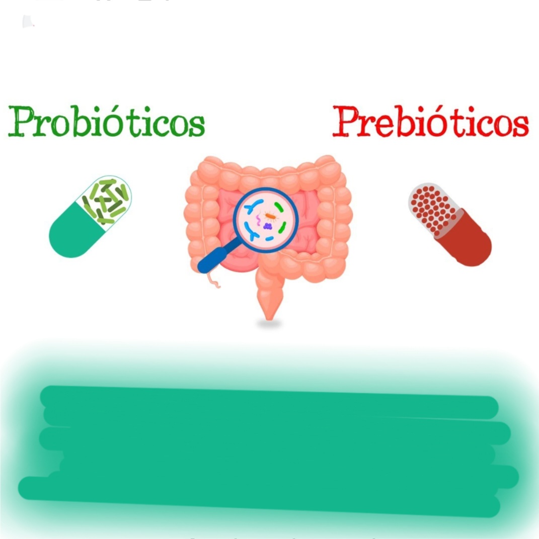 Prebióticos y Probióticos