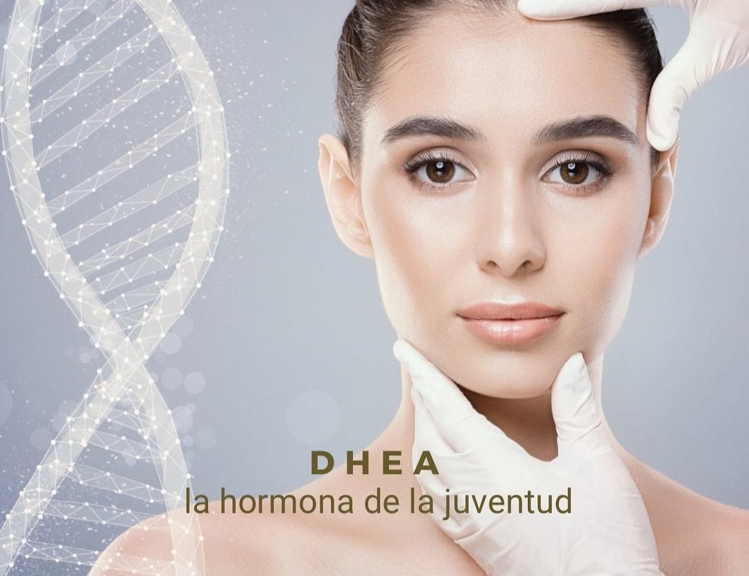 DHEA