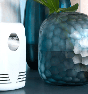 Servicios Aromatización Ambiental Enjoy Lata