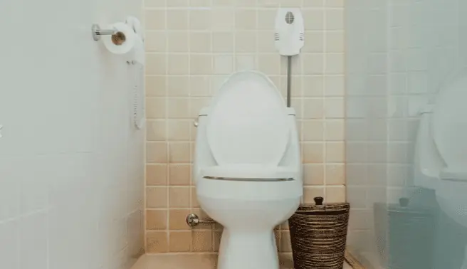 Servicio de Desodorización de Baños