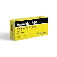 Amoxidal 750 mg x 10comp.