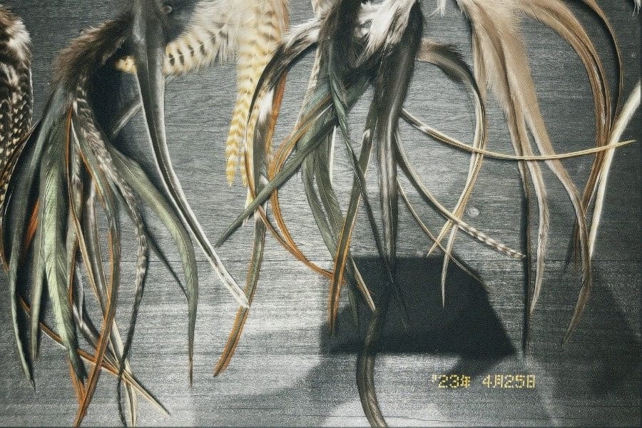 Plumas anchas (ideales para parte posterior)