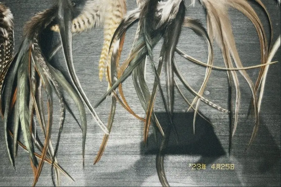 Plumas anchas (ideales para parte posterior)