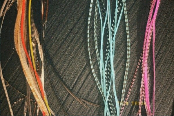Plumas coloridas