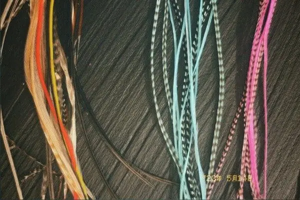 Plumas coloridas