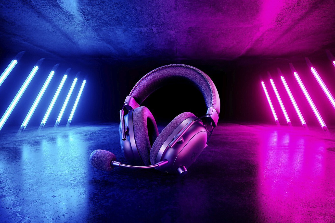 Parlantes y Auriculares