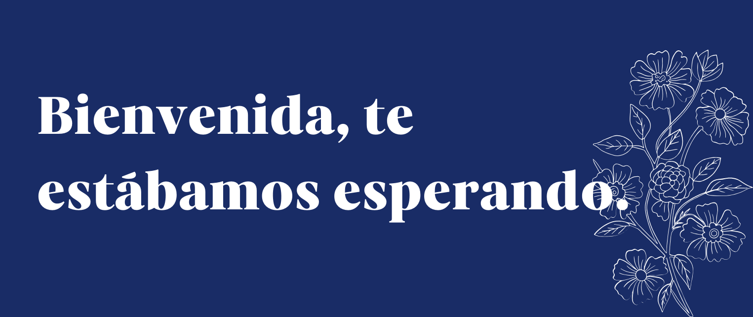Fefa: Detalles que Brillan