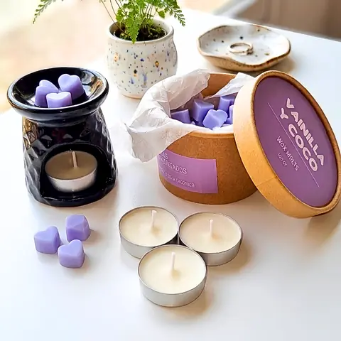 Pack Wax Melts Completo