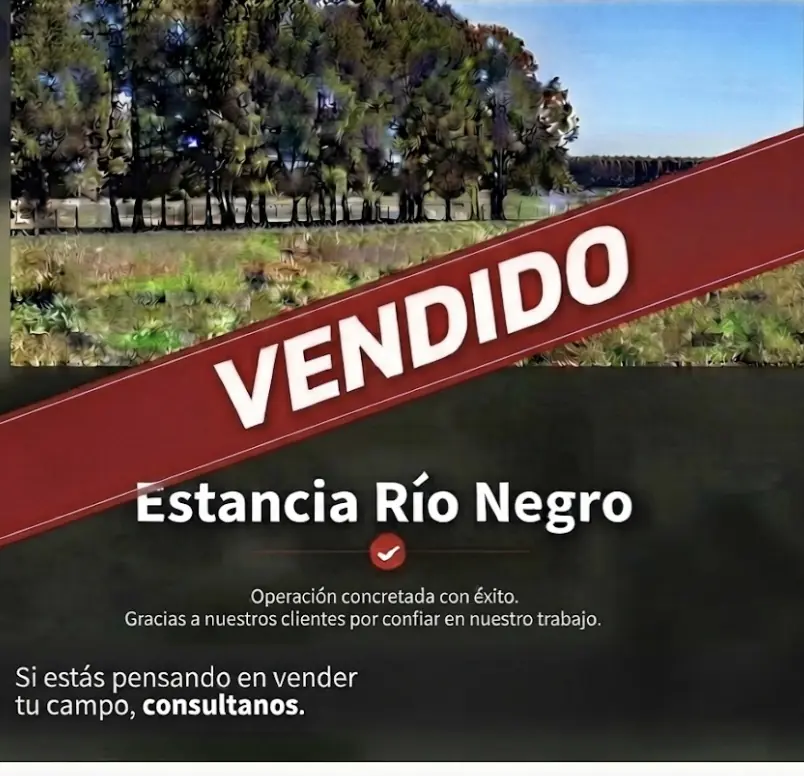 Estancia Ganadera en Río Negro.