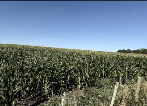 Campo a la venta en Soriano