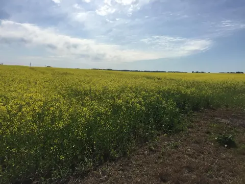 Campo a la venta en Soriano.