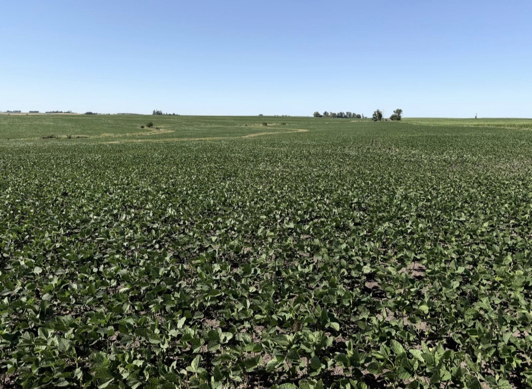 Campo a la venta en Río Negro