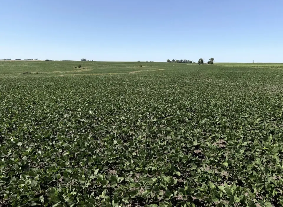 Campo a la venta en Río Negro