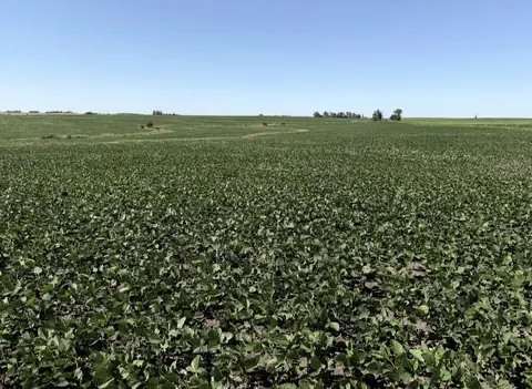 Campo a la venta en Río Negro