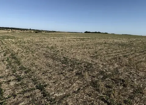 Venta campo en Soriano