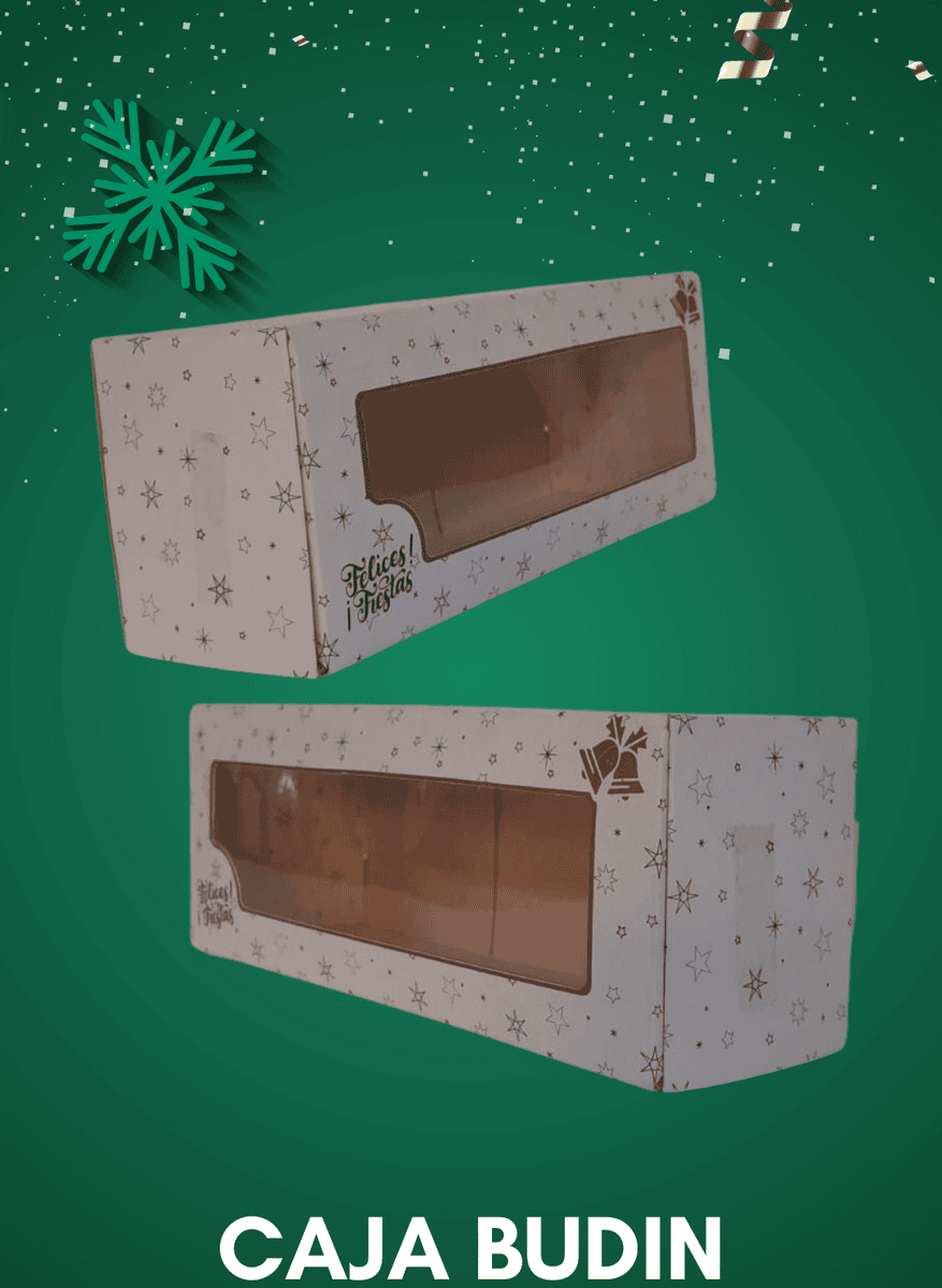 Caja Navideña Budìn con Visor 22x8,5x7 - x5
