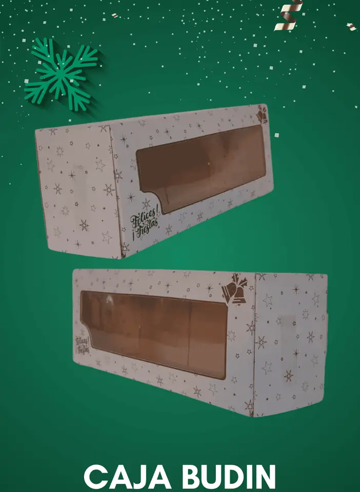 Caja Navideña Budìn con Visor 22x8,5x7 - x5