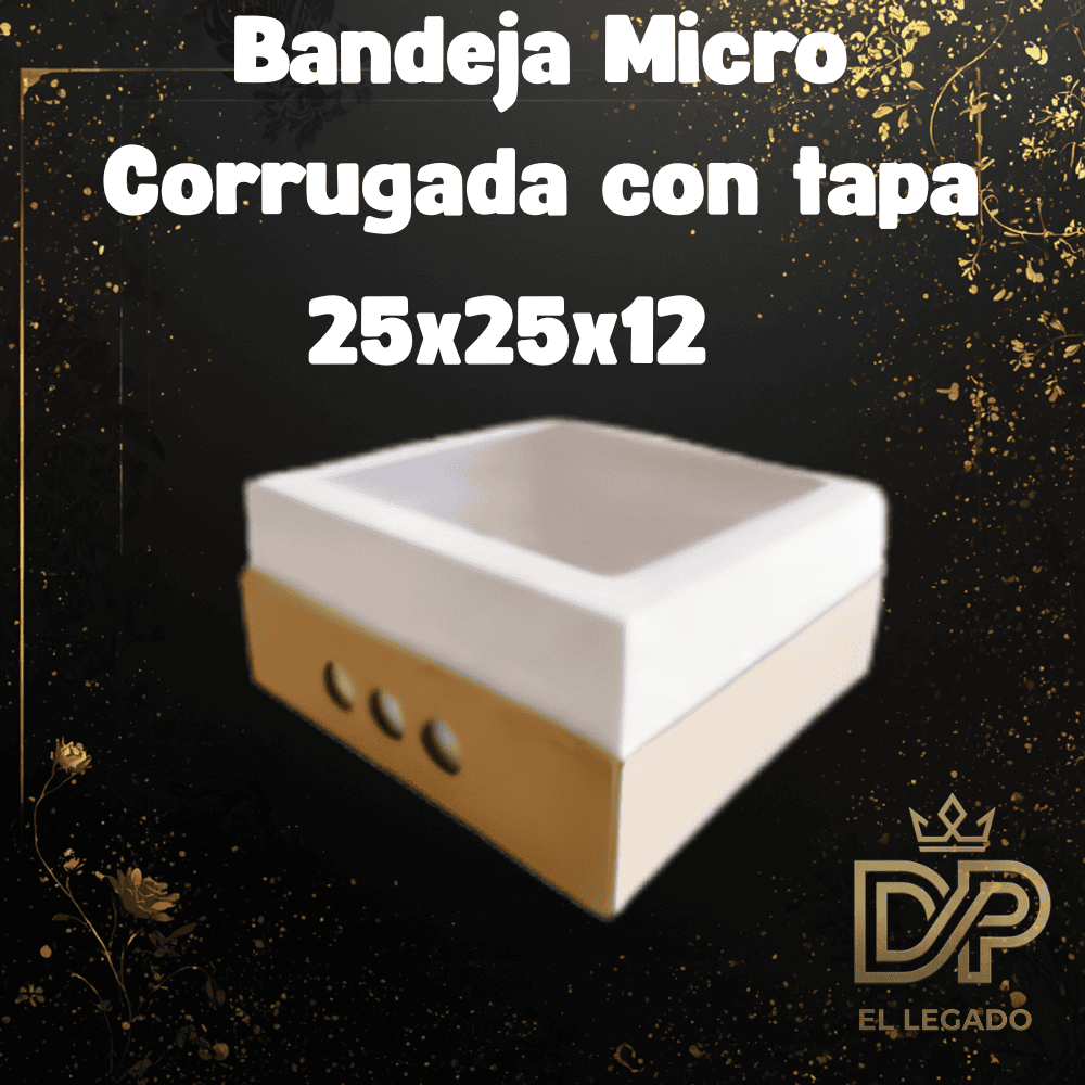 Bandeja Micro Corrugada con tapa 25x25x12 - x5