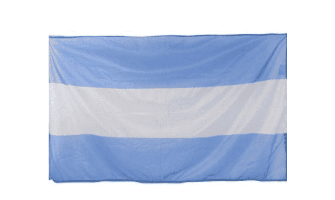Bandera Argentina tela 45x70cm - x 1 unidad