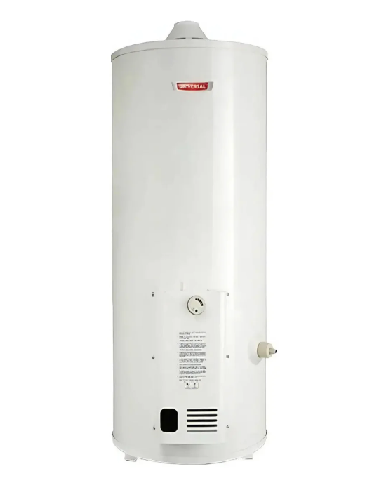 Termotanque Universal 80 Litros Bigas primera