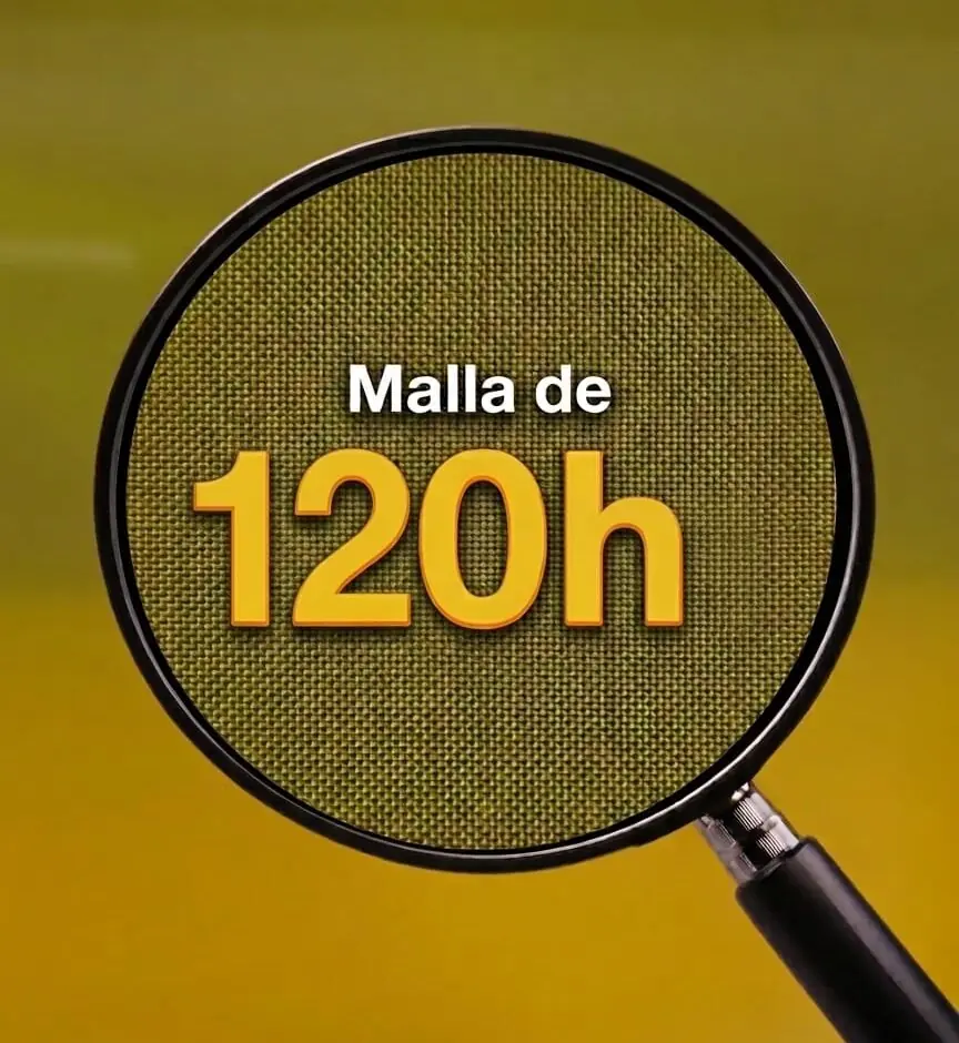 Sin título
