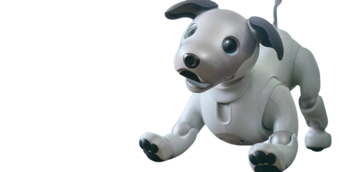 TECNO MASCOTAS