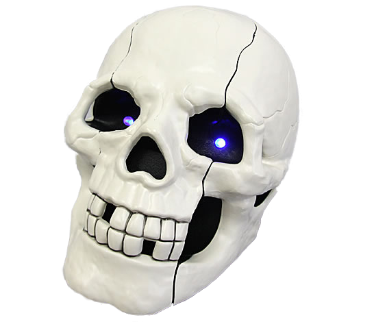 TELÉFONO CALAVERA SOUTH SUNNY