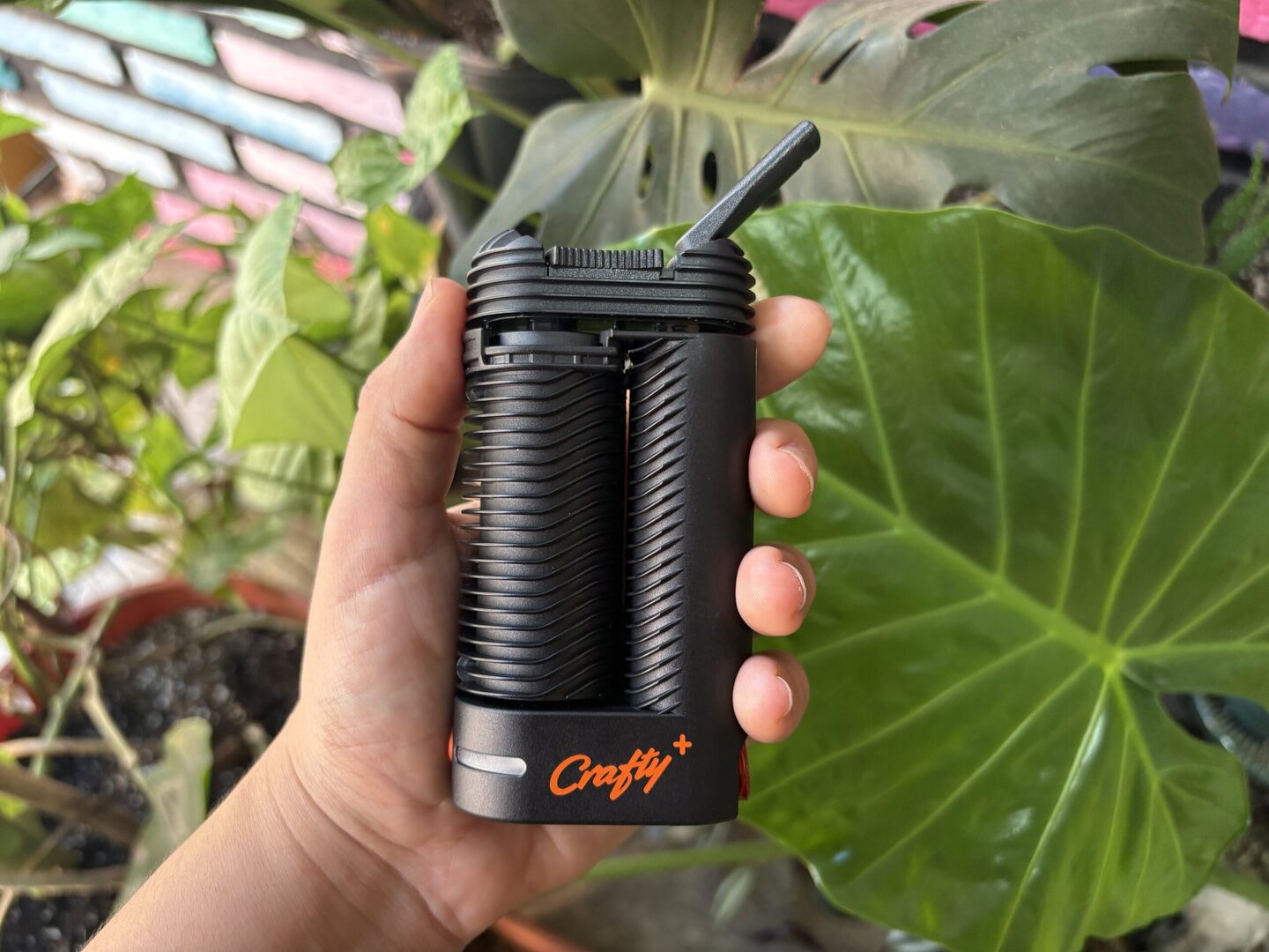 Rompete S Growshop