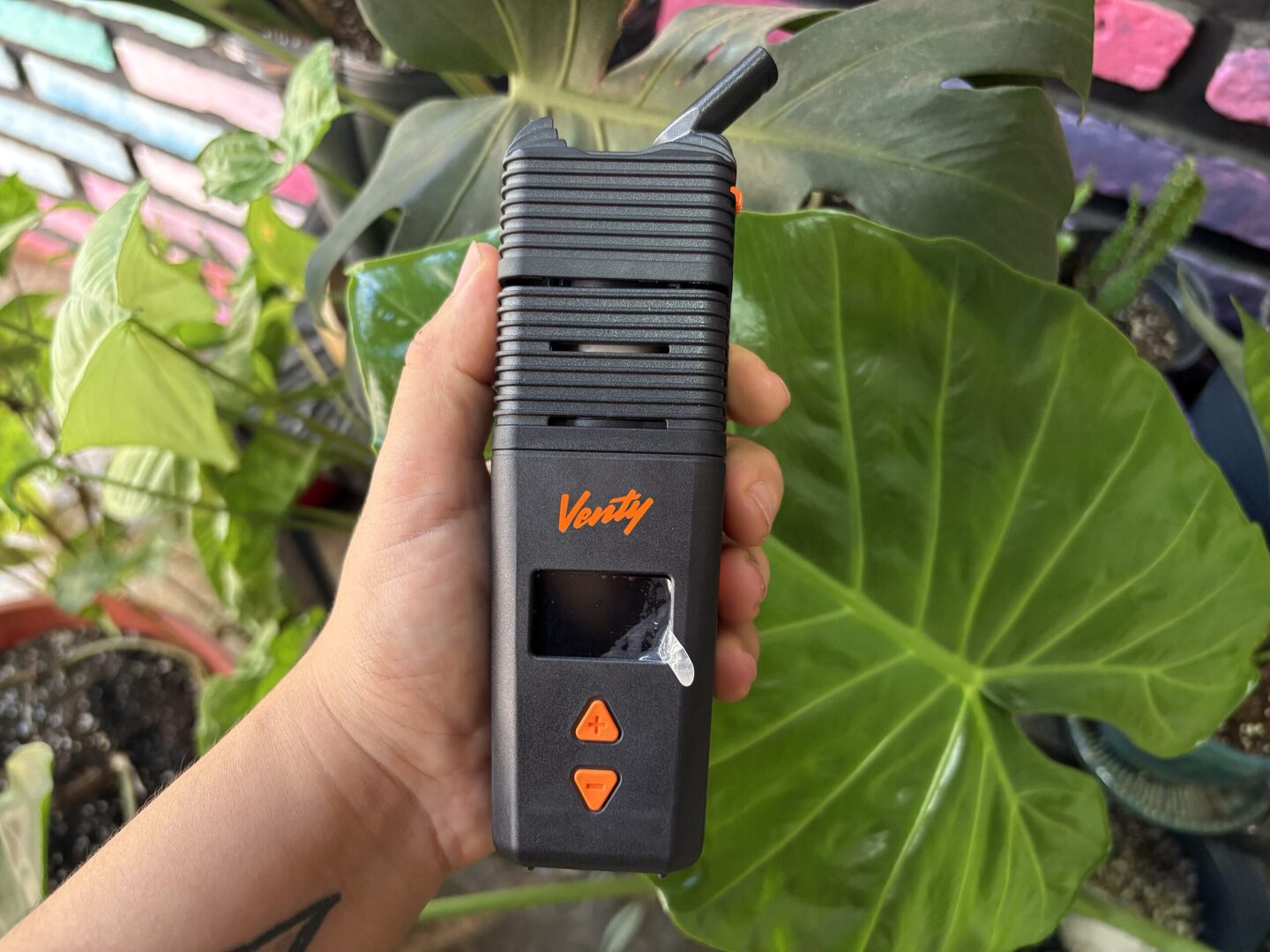 Rompete S Growshop