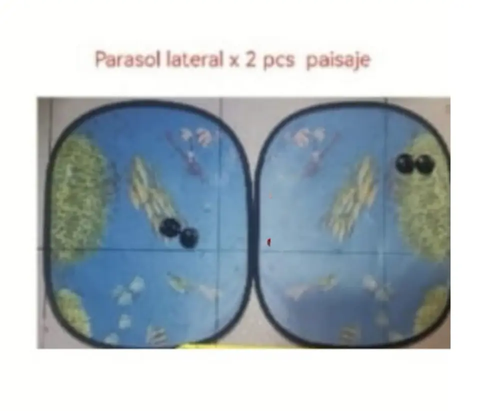 PARASOL LATERAL X 2PCS  PAISAJES (U070)